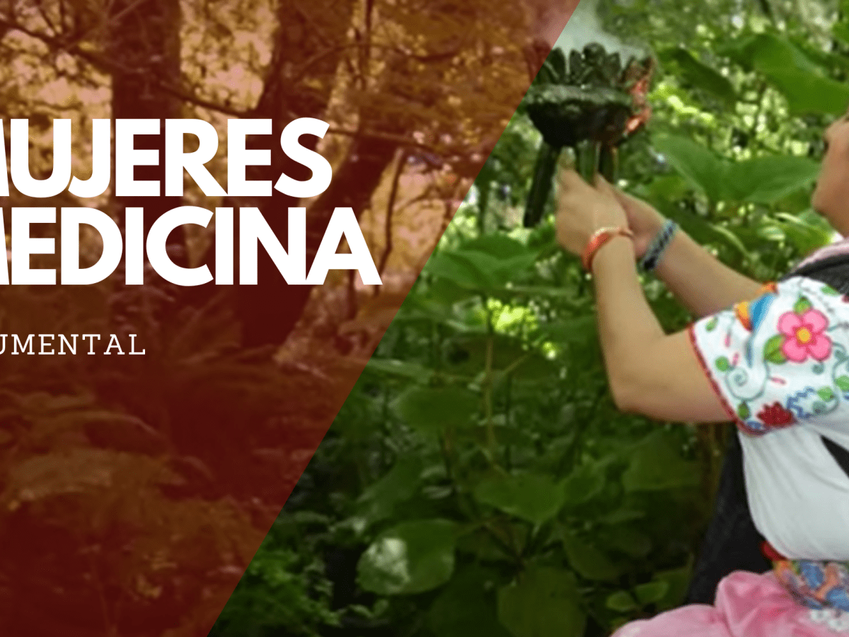 Mujeres Medicina –&nbsp;Documental