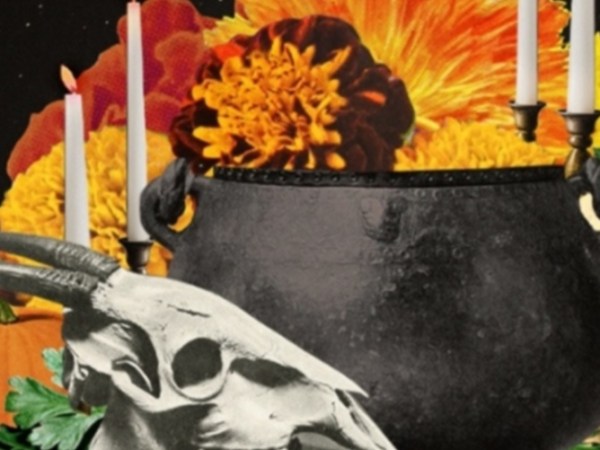 Camino de Flores: Especial de Día de&nbsp;Muertos